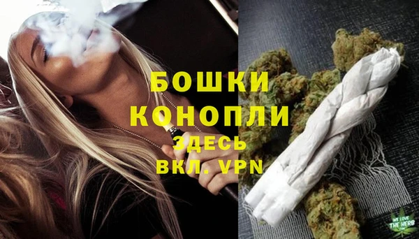 трава Абаза
