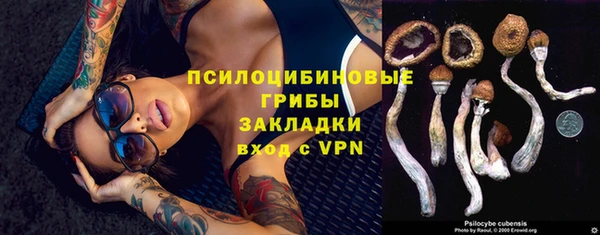трава Абаза